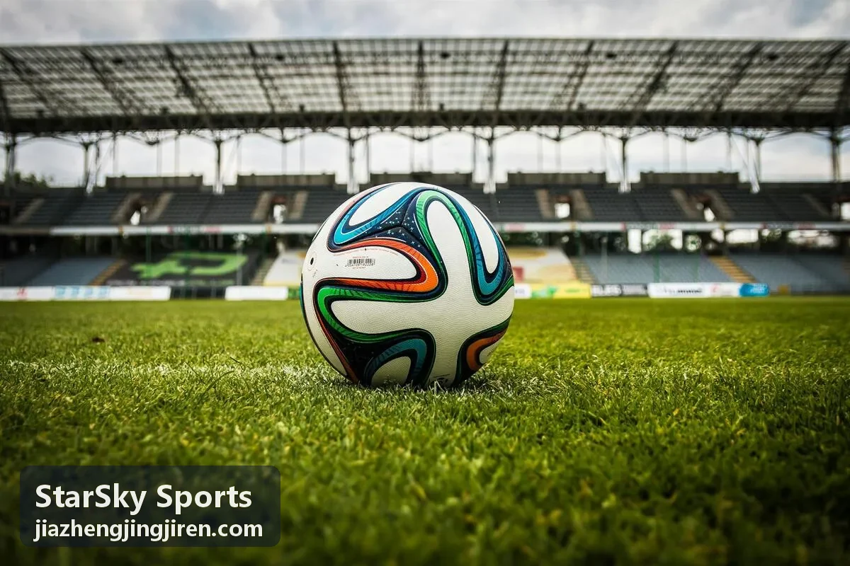 StarSky Sports 企业运动会团体项目现场